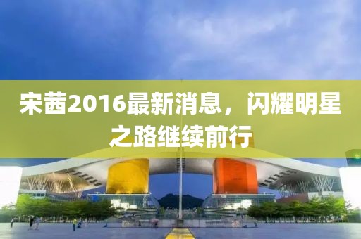 宋茜2016最新消息，閃耀明星之路繼續(xù)前行