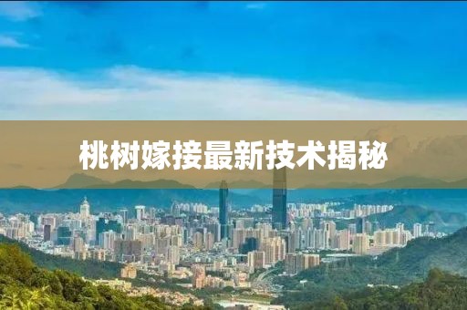 初遇在故事開頭 第27頁(yè)