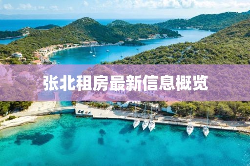 窒息夢 第30頁