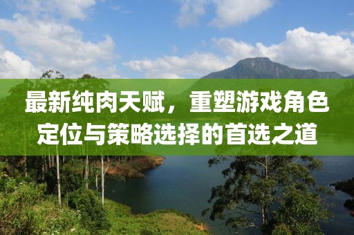 最新純?nèi)馓熨x，重塑游戲角色定位與策略選擇的首選之道