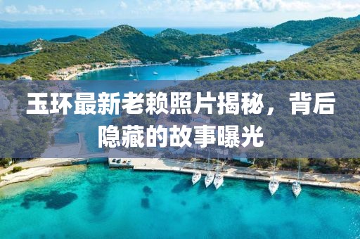 玉環(huán)最新老賴照片揭秘，背后隱藏的故事曝光