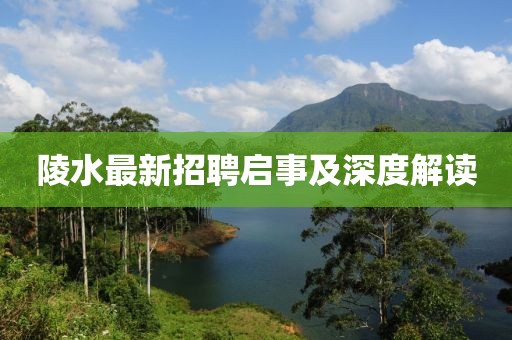 陵水最新招聘啟事及深度解讀
