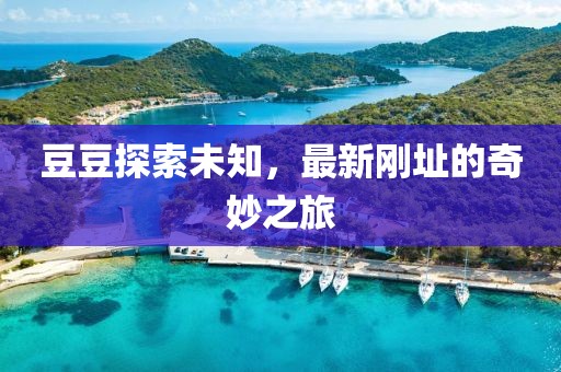 豆豆探索未知，最新剛址的奇妙之旅