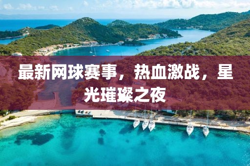最新網(wǎng)球賽事，熱血激戰(zhàn)，星光璀璨之夜