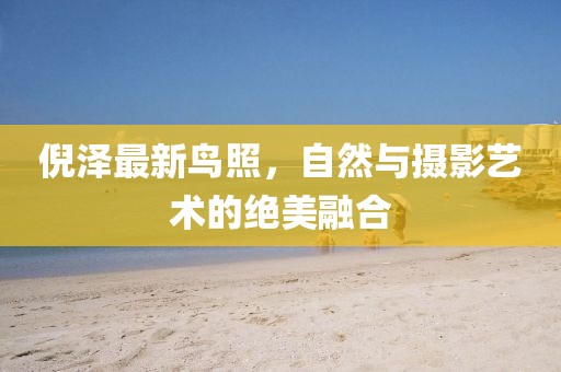 倪澤最新鳥照，自然與攝影藝術(shù)的絕美融合