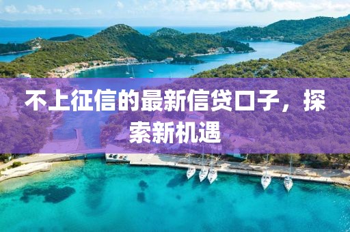 不上征信的最新信貸口子，探索新機(jī)遇