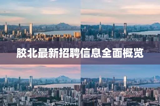 膠北最新招聘信息全面概覽