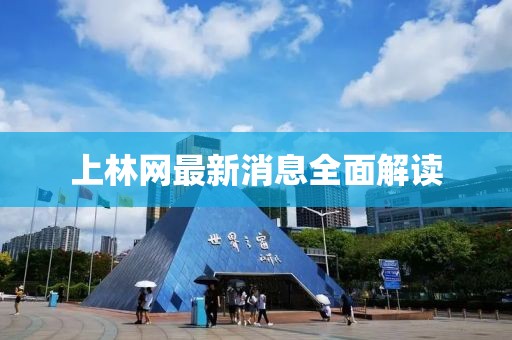 上林網最新消息全面解讀