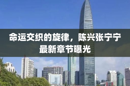 命運(yùn)交織的旋律，陳興張寧寧最新章節(jié)曝光