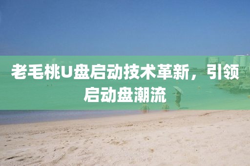 老毛桃U盤啟動(dòng)技術(shù)革新，引領(lǐng)啟動(dòng)盤潮流