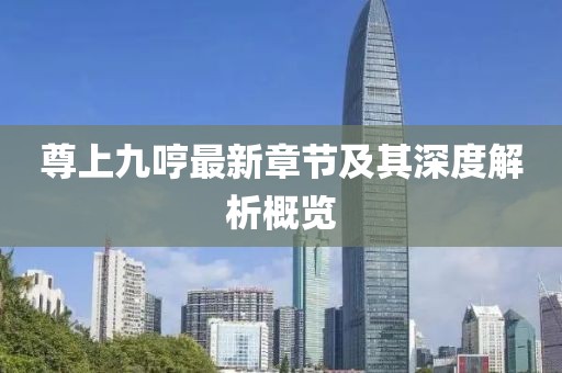 尊上九哼最新章節(jié)及其深度解析概覽