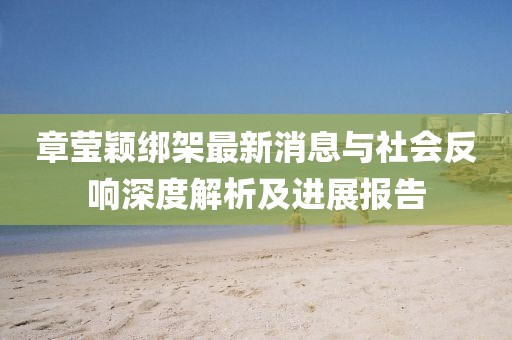 章瑩穎綁架最新消息與社會反響深度解析及進展報告