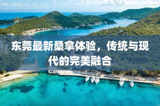 東莞最新桑拿體驗，傳統(tǒng)與現(xiàn)代的完美融合