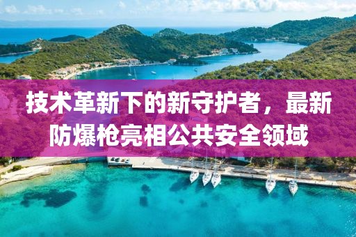 技術(shù)革新下的新守護(hù)者，最新防爆槍亮相公共安全領(lǐng)域