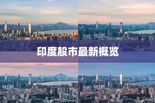 印度股市最新概覽
