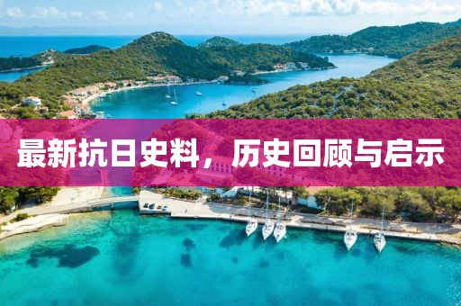 最新抗日史料，歷史回顧與啟示