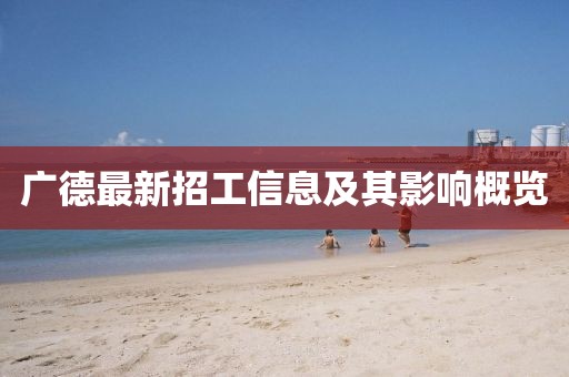 廣德最新招工信息及其影響概覽