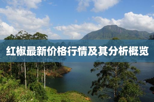 紅椒最新價(jià)格行情及其分析概覽