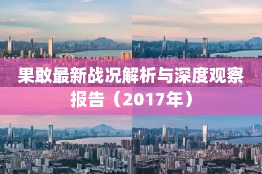 果敢最新戰(zhàn)況解析與深度觀察報(bào)告（2017年）