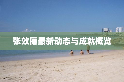 張效廉最新動態(tài)與成就概覽