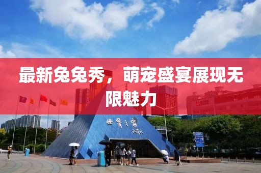 最新兔兔秀，萌寵盛宴展現(xiàn)無限魅力