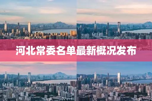 河北常委名單最新概況發(fā)布