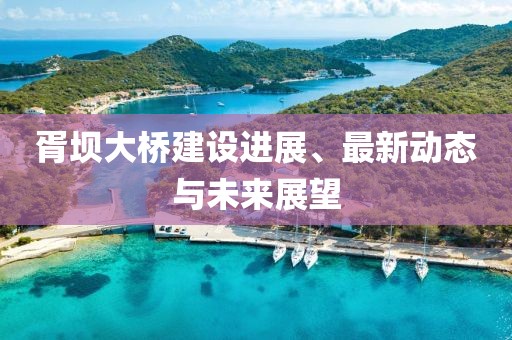 胥壩大橋建設(shè)進(jìn)展、最新動(dòng)態(tài)與未來展望