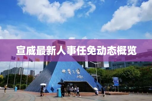 宣威最新人事任免動(dòng)態(tài)概覽