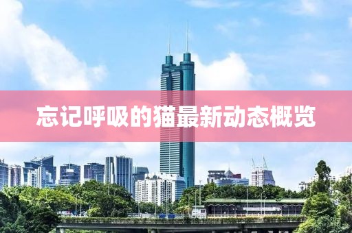 忘記呼吸的貓最新動(dòng)態(tài)概覽