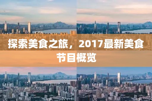 探索美食之旅，2017最新美食節(jié)目概覽
