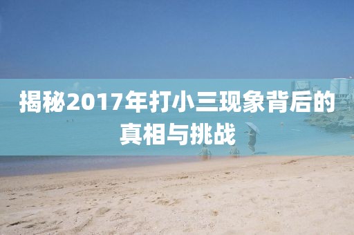 揭秘2017年打小三現(xiàn)象背后的真相與挑戰(zhàn)