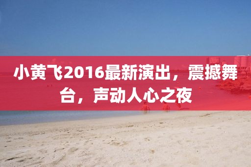 小黃飛2016最新演出，震撼舞臺，聲動人心之夜