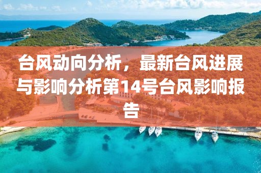 臺風(fēng)動向分析，最新臺風(fēng)進展與影響分析第14號臺風(fēng)影響報告