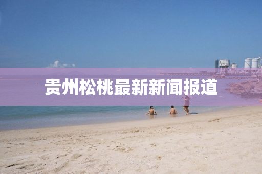 貴州松桃最新新聞報(bào)道