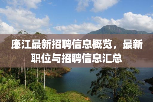 廉江最新招聘信息概覽，最新職位與招聘信息匯總