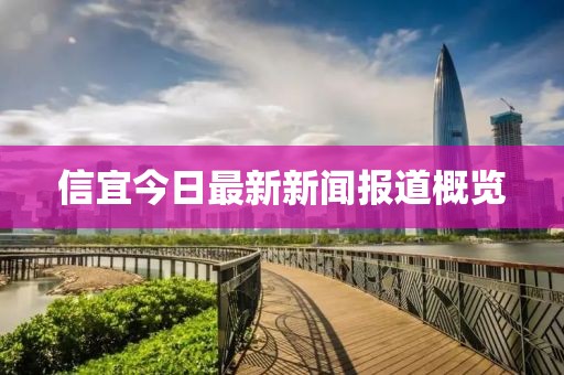 信宜今日最新新聞報道概覽
