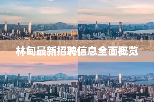 林甸最新招聘信息全面概覽
