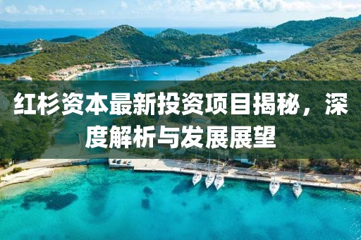 紅杉資本最新投資項(xiàng)目揭秘，深度解析與發(fā)展展望