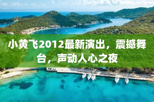 小黃飛2012最新演出，震撼舞臺，聲動人心之夜