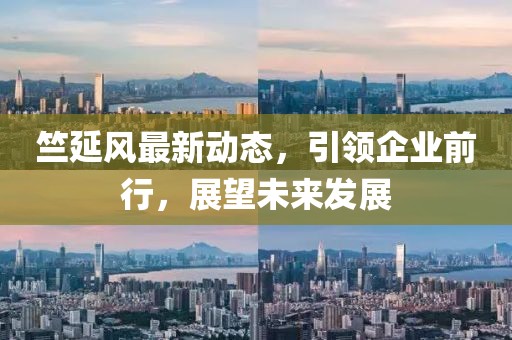 竺延風(fēng)最新動(dòng)態(tài)，引領(lǐng)企業(yè)前行，展望未來發(fā)展