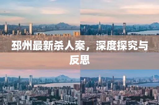 邳州最新殺人案，深度探究與反思