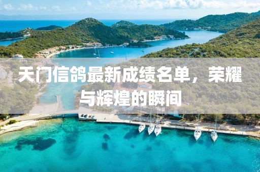 天門信鴿最新成績名單，榮耀與輝煌的瞬間