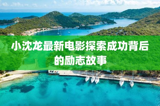 小沈龍最新電影探索成功背后的勵(lì)志故事