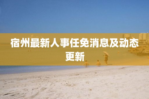 宿州最新人事任免消息及動態(tài)更新