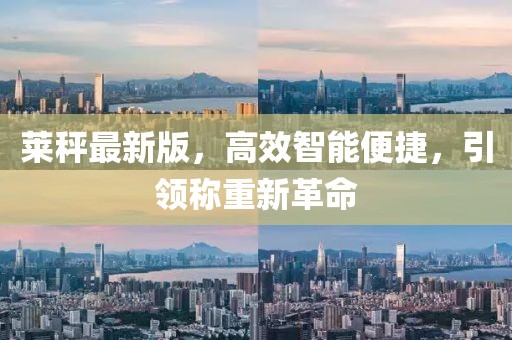 萊秤最新版，高效智能便捷，引領(lǐng)稱重新革命