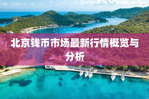 北京錢幣市場(chǎng)最新行情概覽與分析