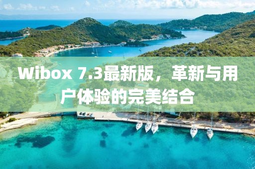 Wibox 7.3最新版，革新與用戶體驗(yàn)的完美結(jié)合