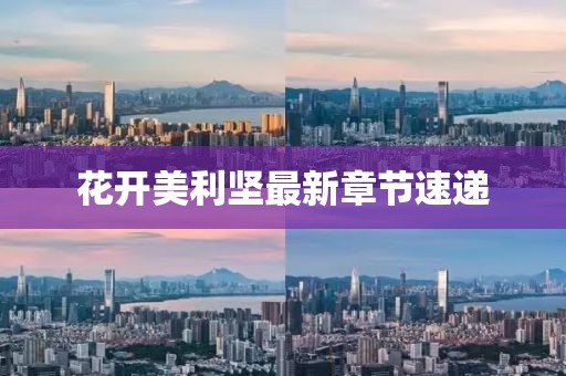 花開美利堅(jiān)最新章節(jié)速遞