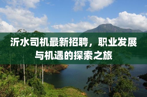 沂水司機(jī)最新招聘，職業(yè)發(fā)展與機(jī)遇的探索之旅