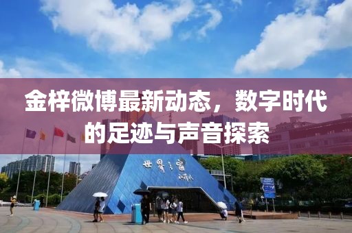 金梓微博最新動態(tài)，數(shù)字時代的足跡與聲音探索